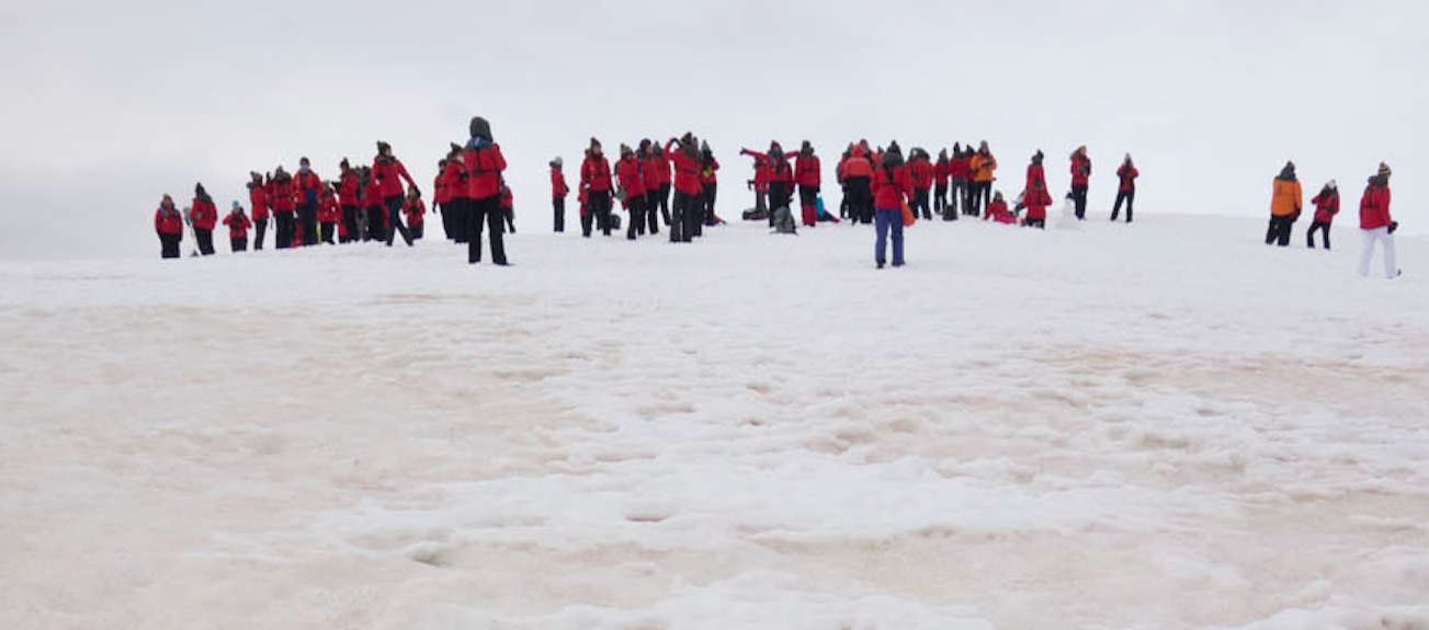 expedición de mujeres científicas a la Antártida de Acciona
